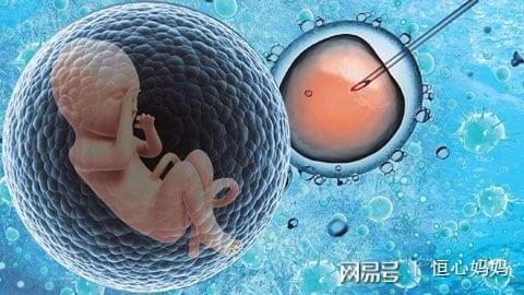 单身生子助孕机构